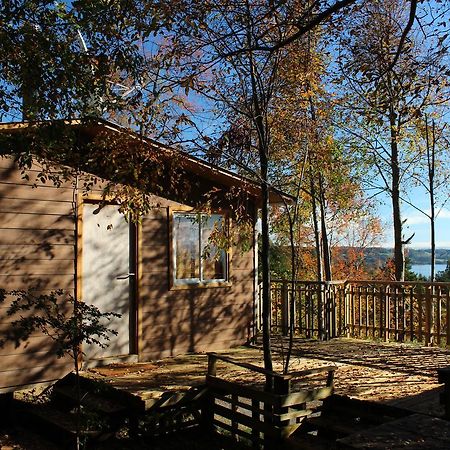 Cabanas Mas Ke Miel Población Población Lago Ranco Eksteriør billede